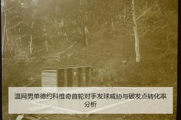 温网男单德约科维奇首轮对手发球威胁与破发点转化率分析